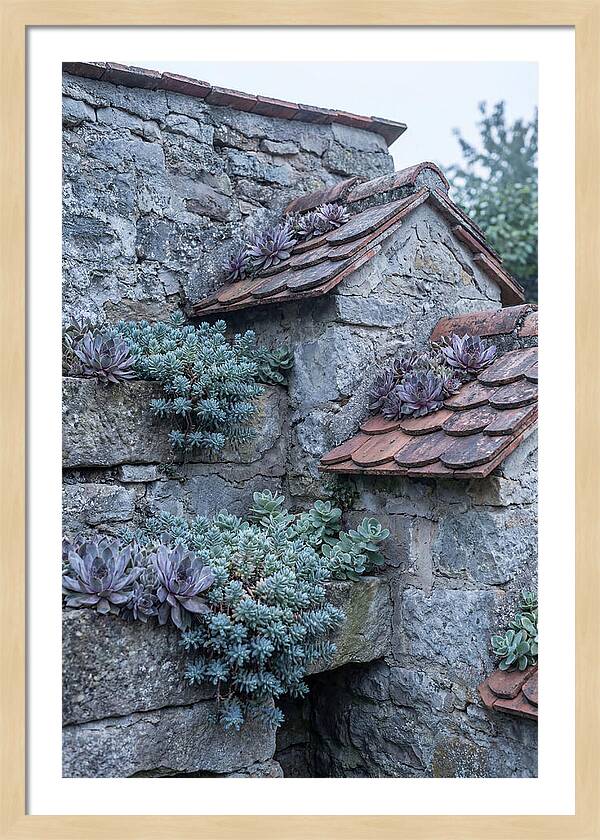 Old Wall Garden Serenity