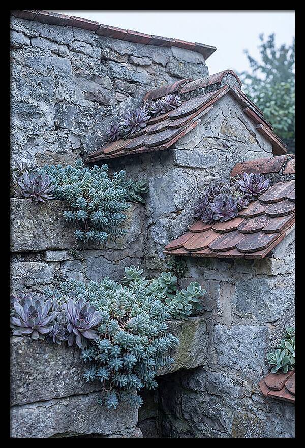 Old Wall Garden Serenity