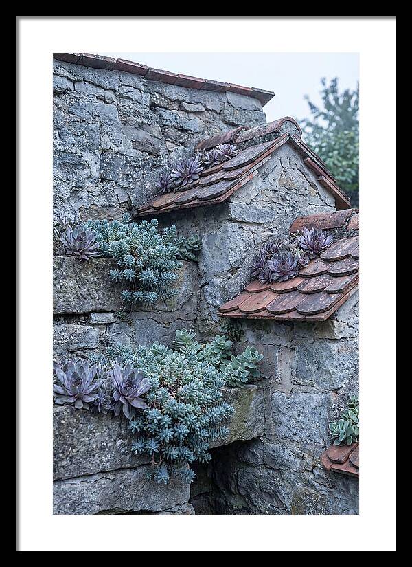 Old Wall Garden Serenity