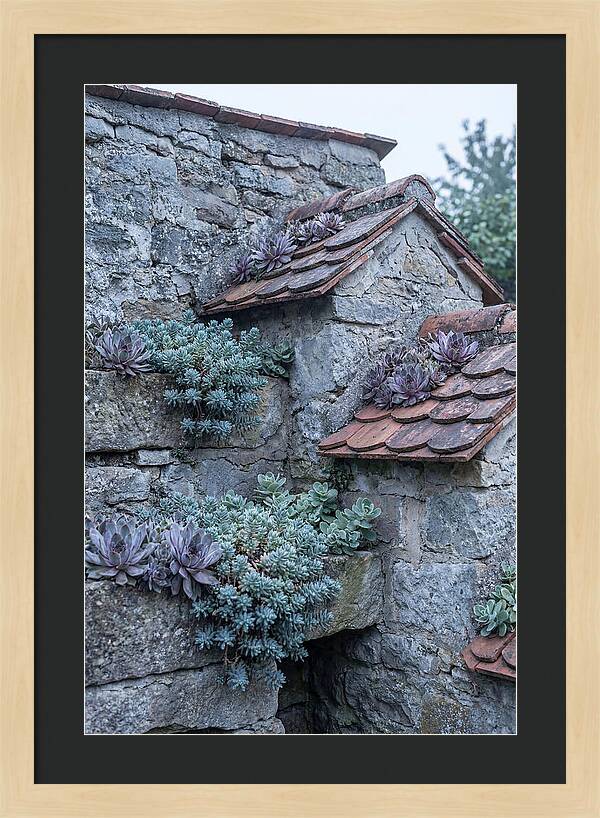 Old Wall Garden Serenity