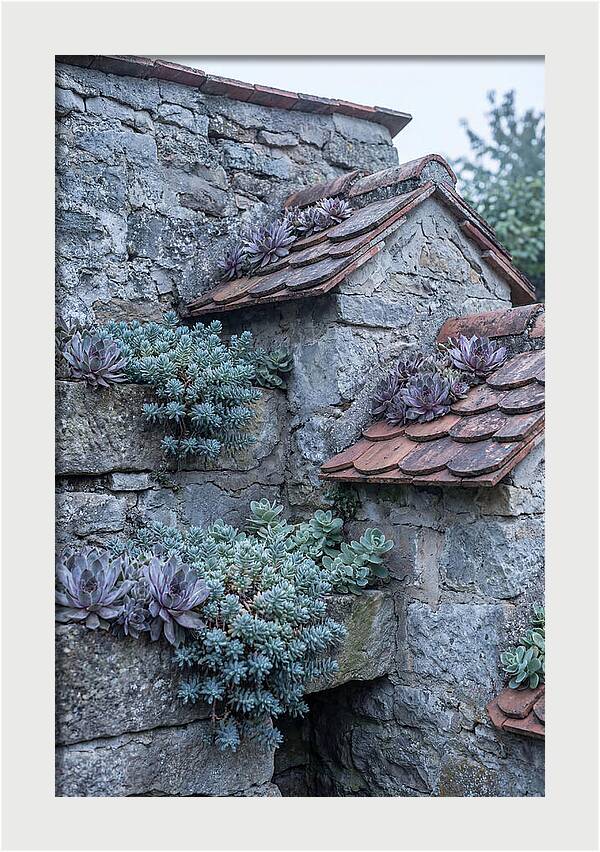 Old Wall Garden Serenity