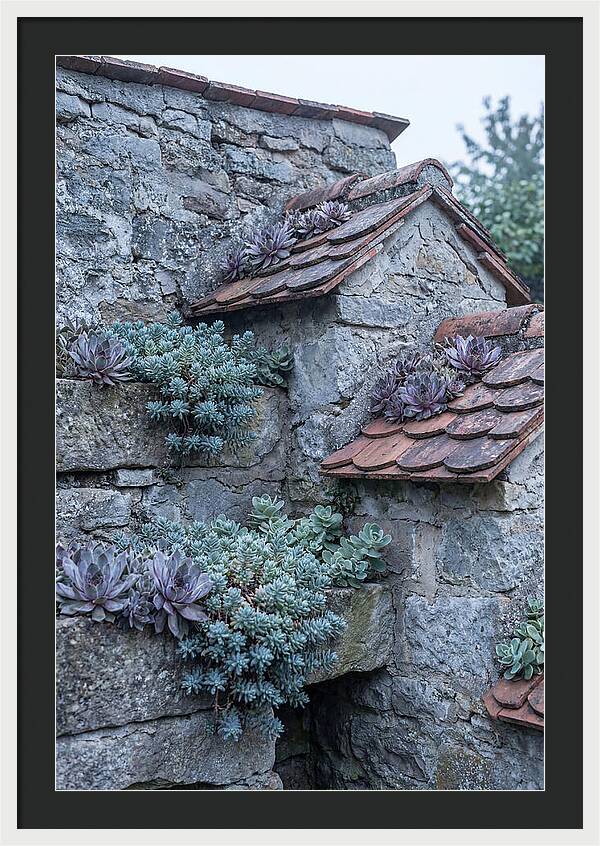 Old Wall Garden Serenity