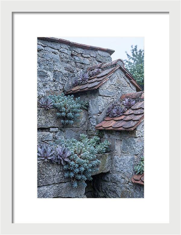 Old Wall Garden Serenity