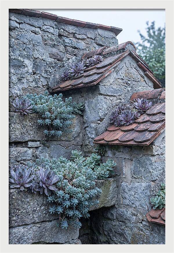 Old Wall Garden Serenity
