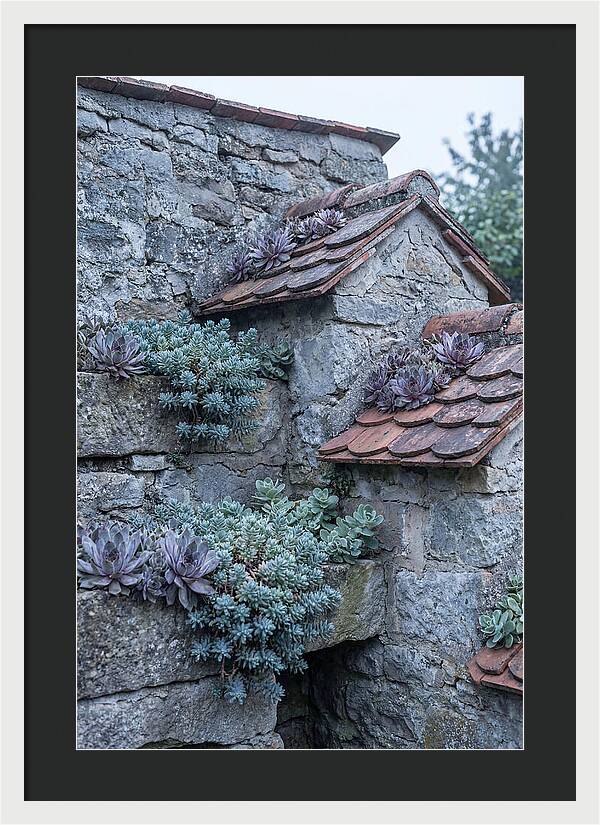 Old Wall Garden Serenity