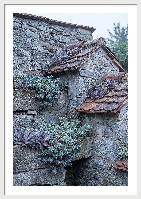 Old Wall Garden Serenity