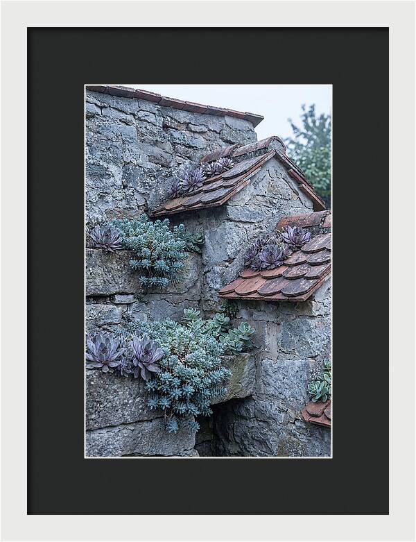 Old Wall Garden Serenity
