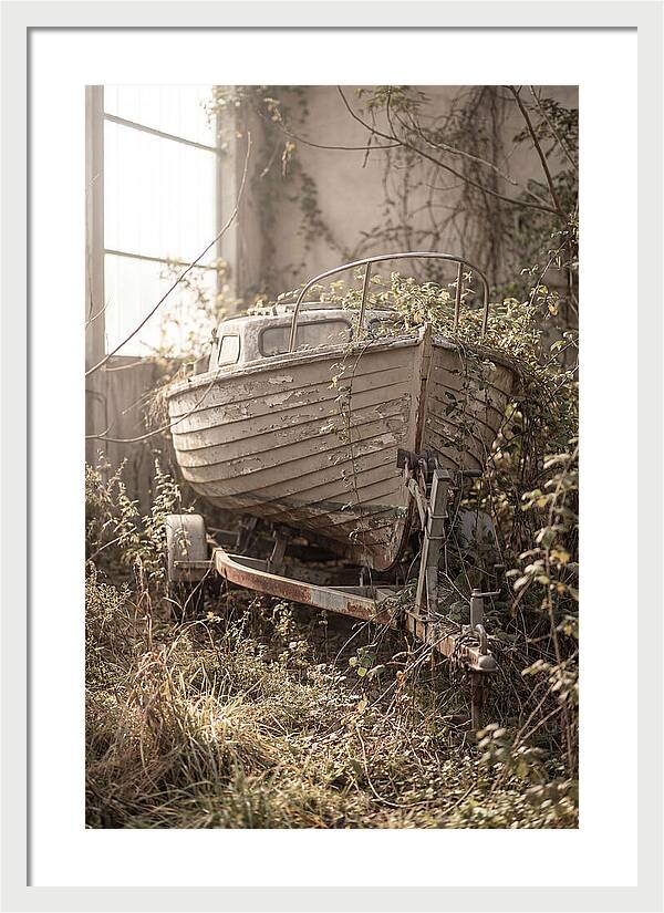 Old Wooden Boat In Overgrown Space