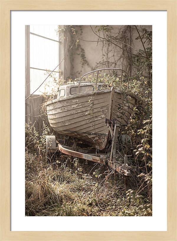 Old Wooden Boat In Overgrown Space