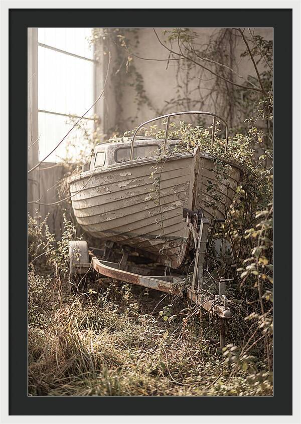 Old Wooden Boat In Overgrown Space