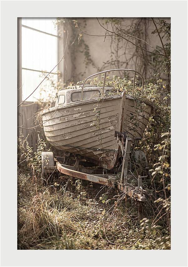 Old Wooden Boat In Overgrown Space