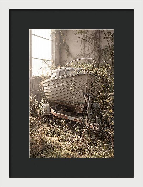 Old Wooden Boat In Overgrown Space