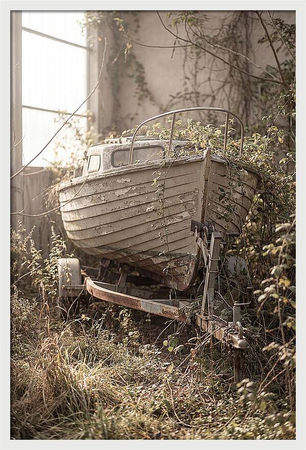 Old Wooden Boat In Overgrown Space