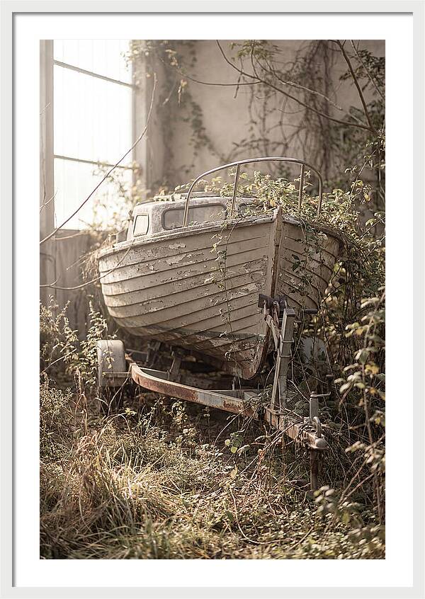 Old Wooden Boat In Overgrown Space