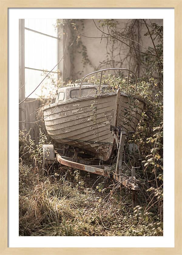 Old Wooden Boat In Overgrown Space