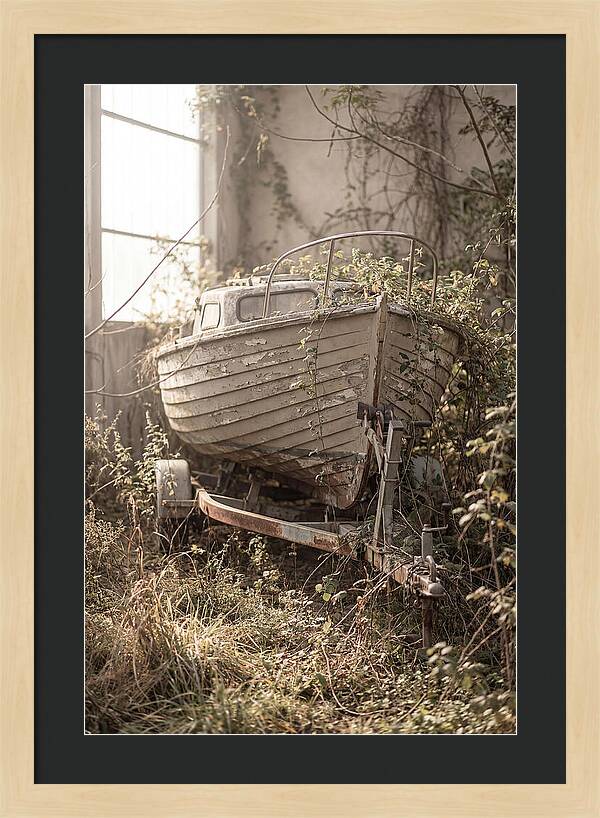 Old Wooden Boat In Overgrown Space