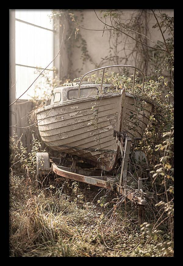 Old Wooden Boat In Overgrown Space