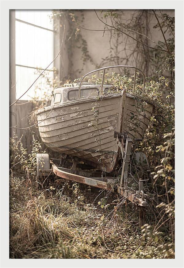 Old Wooden Boat In Overgrown Space