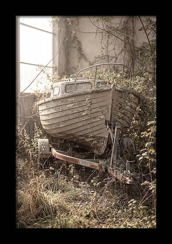 Old Wooden Boat In Overgrown Space