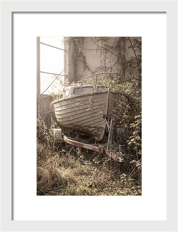 Old Wooden Boat In Overgrown Space