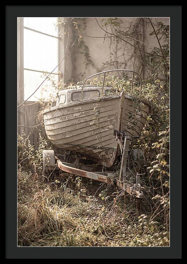 Old Wooden Boat In Overgrown Space