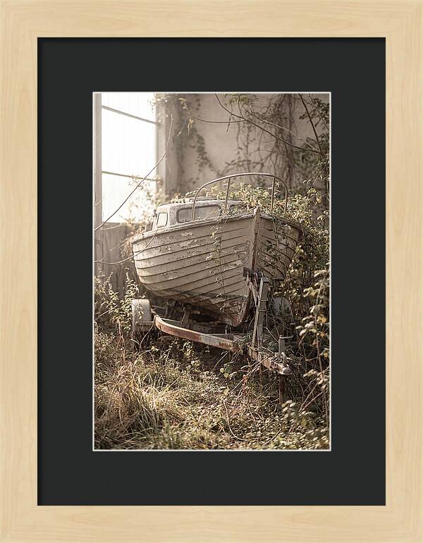 Old Wooden Boat In Overgrown Space
