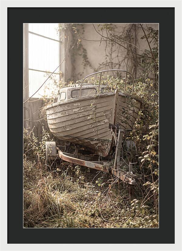 Old Wooden Boat In Overgrown Space