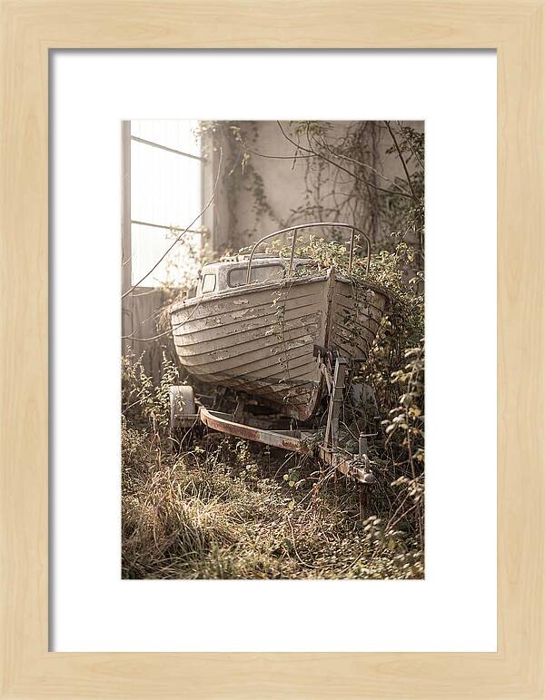 Old Wooden Boat In Overgrown Space