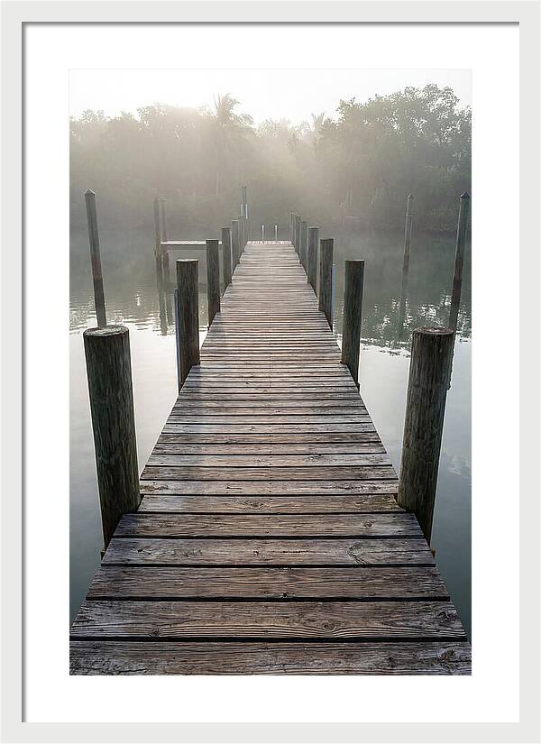 Old Wooden Dock In Mist
