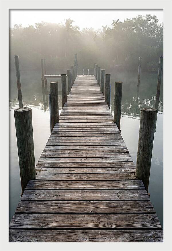 Old Wooden Dock In Mist