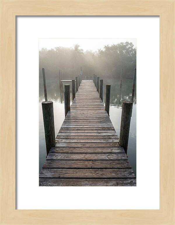 Old Wooden Dock In Mist