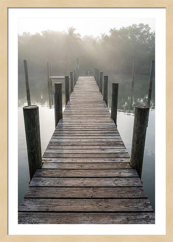 Old Wooden Dock In Mist