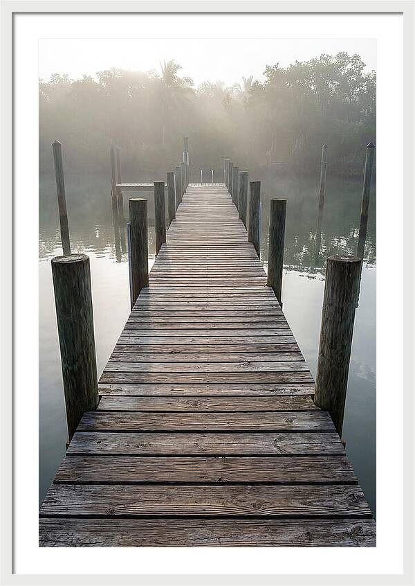 Old Wooden Dock In Mist