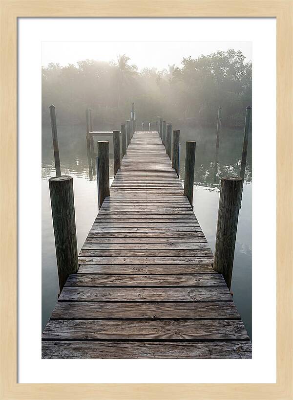 Old Wooden Dock In Mist