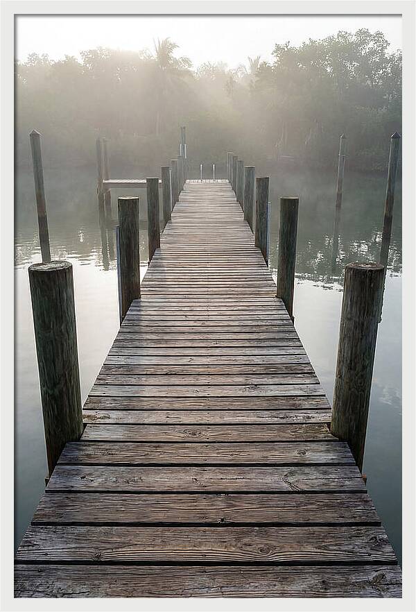 Old Wooden Dock In Mist