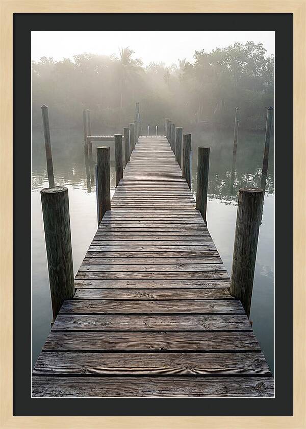 Old Wooden Dock In Mist