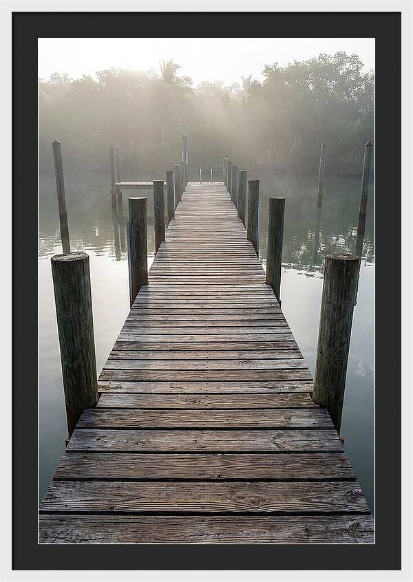 Old Wooden Dock In Mist