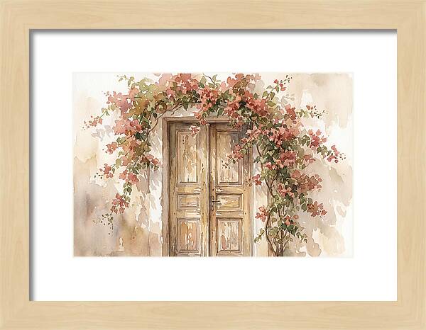 Old Wooden Door With Bougainvillea