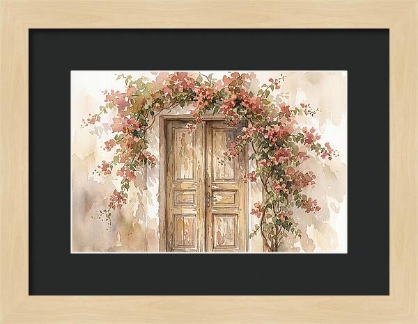 Old Wooden Door With Bougainvillea