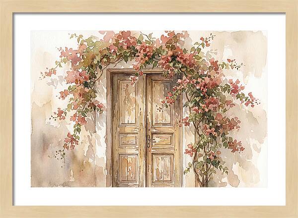 Old Wooden Door With Bougainvillea