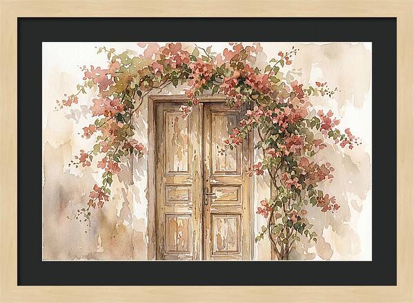 Old Wooden Door With Bougainvillea