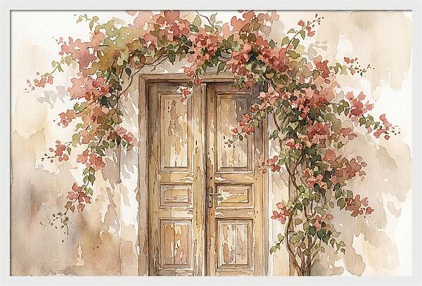 Old Wooden Door With Bougainvillea