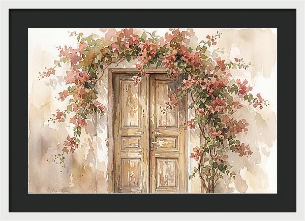 Old Wooden Door With Bougainvillea