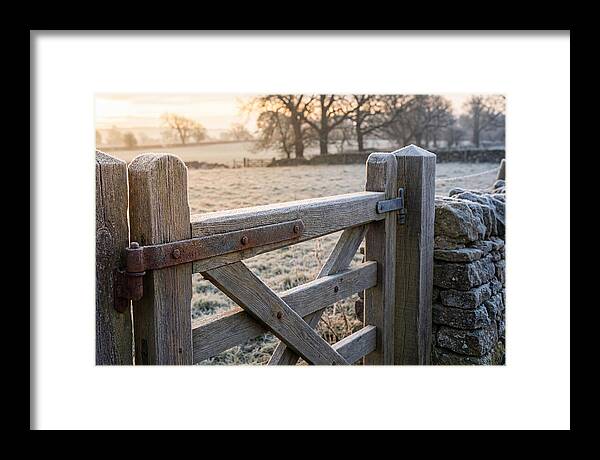 Old Wooden Gate In Frosty Morning
