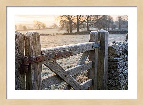 Old Wooden Gate In Frosty Morning