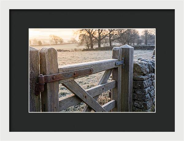 Old Wooden Gate In Frosty Morning