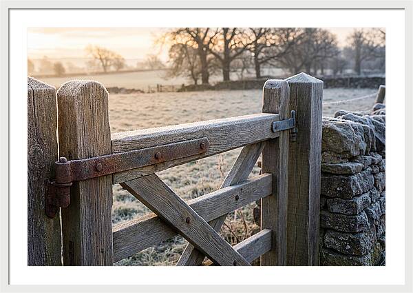 Old Wooden Gate In Frosty Morning