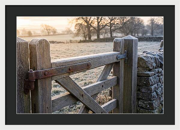 Old Wooden Gate In Frosty Morning