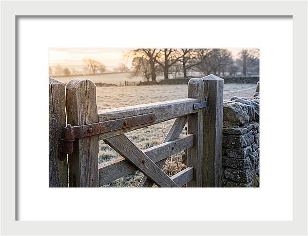 Old Wooden Gate In Frosty Morning