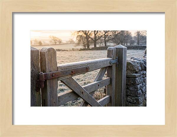 Old Wooden Gate In Frosty Morning